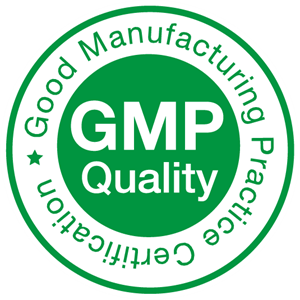 gmp-quality-logo-029EAE8B9B-seeklogo.com_.png