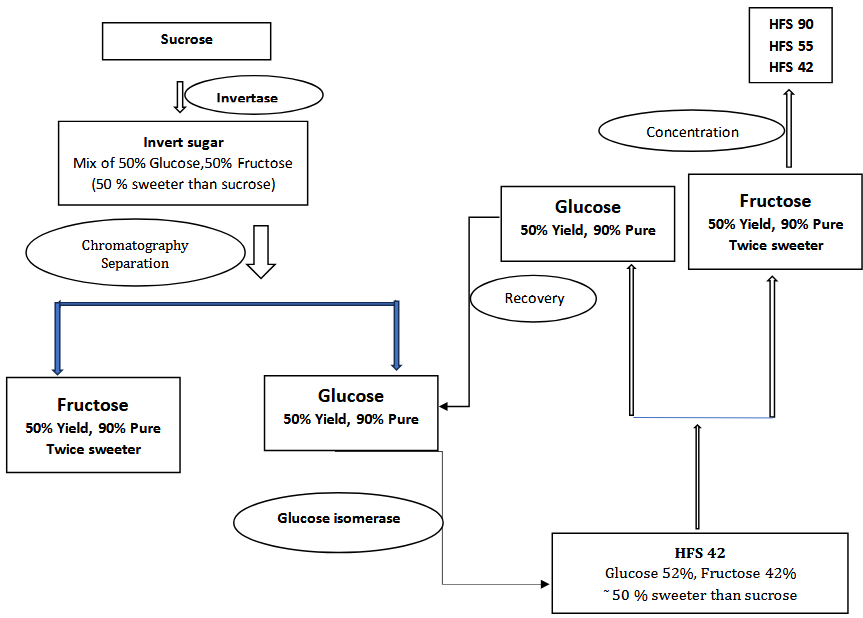 Invertase Diagram