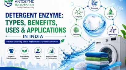 Detergent Enzyme - Types, Benefits, Uses & Applications in India