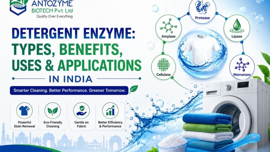 Detergent Enzyme - Types, Benefits, Uses & Applications in India