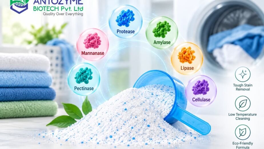 Best Enzymes for Detergent Powder - Types, Functions & Benefits