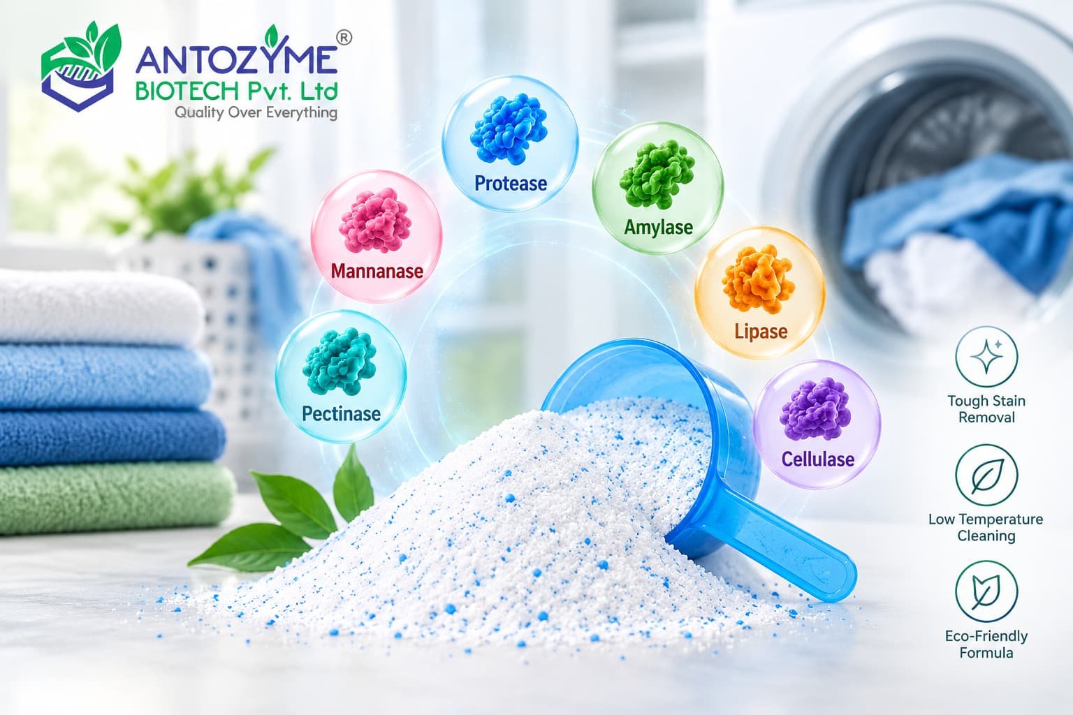 Best Enzymes for Detergent Powder - Types, Functions & Benefits