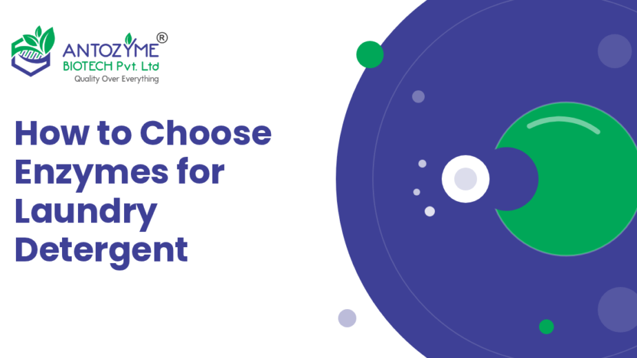 How to Choose Enzymes for a Laundry Detergent Formulation