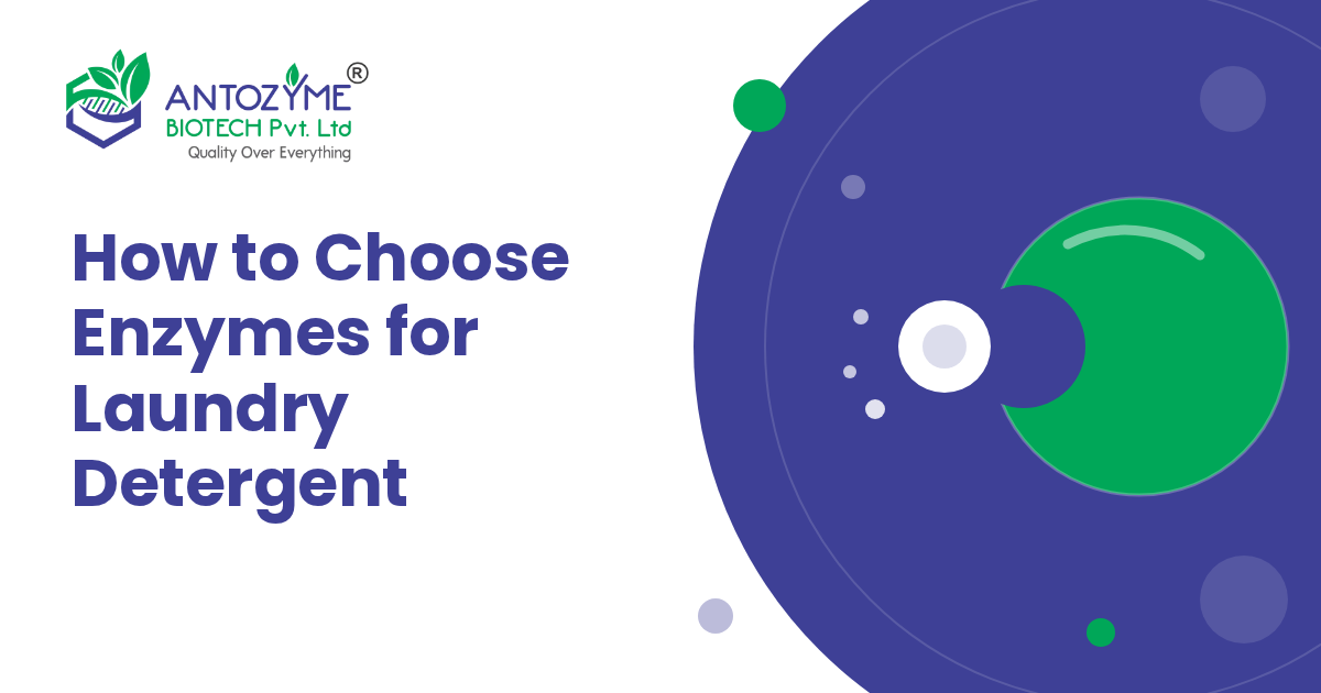 How to Choose Enzymes for a Laundry Detergent Formulation