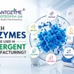 Which Enzymes Are Used in Detergent Manufacturing?