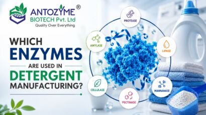 Which Enzymes Are Used in Detergent Manufacturing