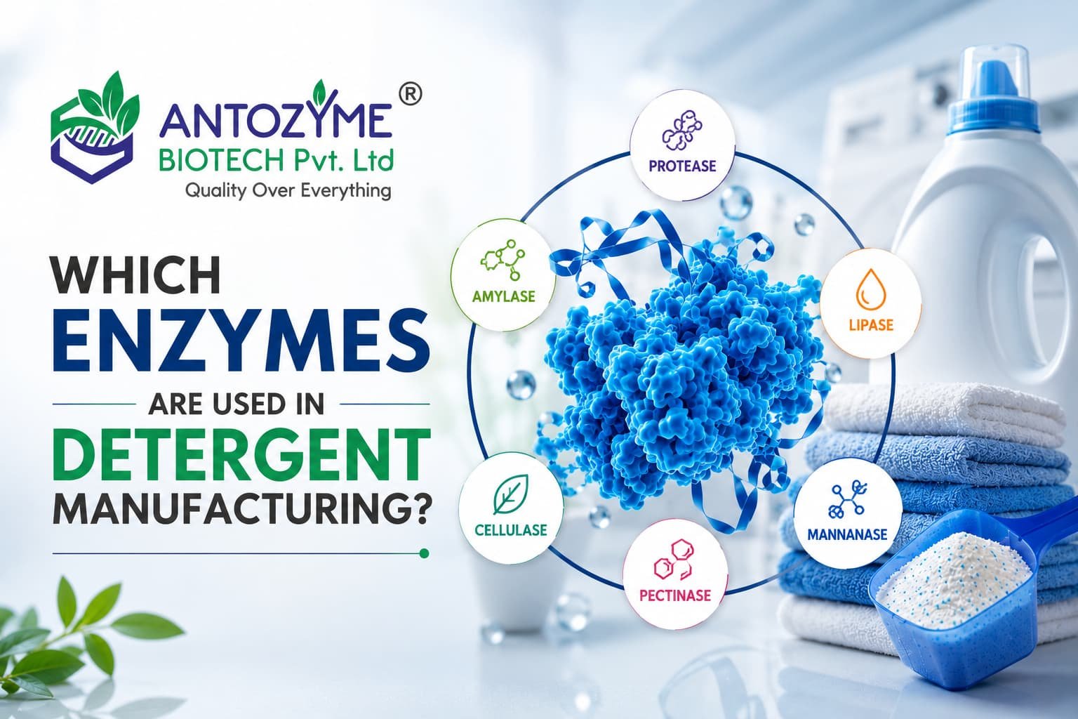 Which Enzymes Are Used in Detergent Manufacturing