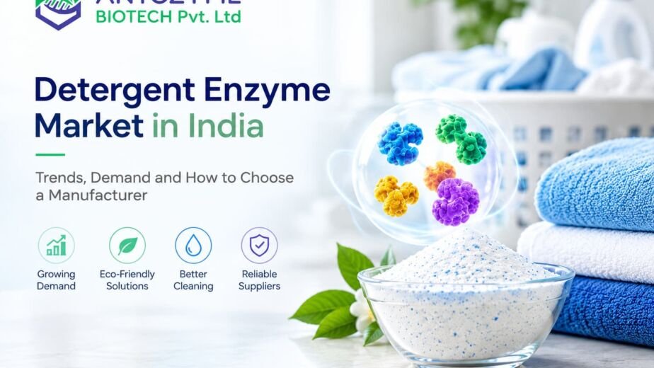 Detergent Enzyme Market in India