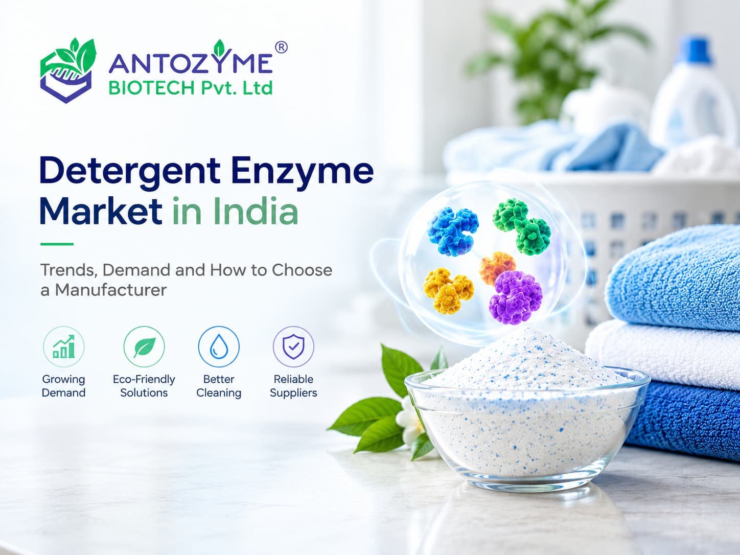 Detergent Enzyme Market in India
