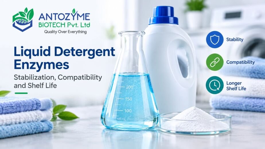 Liquid Detergent Enzymes